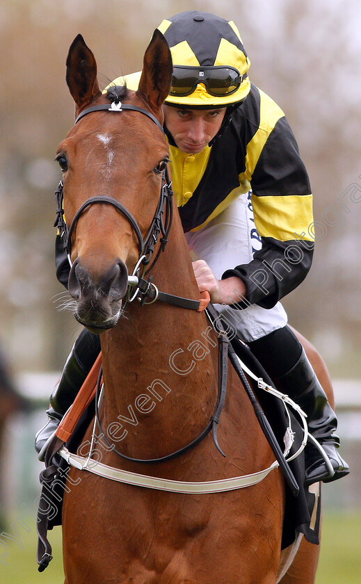 Main-Edition-0002 
 MAIN EDITION (Ryan Moore)
Newmarket 16 Apr 2019 - Pic Steven Cargill / Racingfotos.com