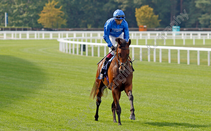 Olympic-Candle-0007 
 OLYMPIC CANDLE (Oisin Murphy) winner of The Charbonnel Et Walker British EBF Maiden Stakes
Ascot 8 Sep 2023 - Pic Steven Cargill / Racingfotos.com