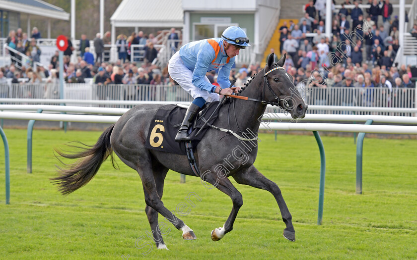 Got-To-Love-A-Grey-0002 
 GOT TO LOVE A GREY (Sam James) winner of The British Racing Supports Stephen Lawrence Day Restricted Novice Stakes
Nottingham 22 Apr 2023 - pic Steven Cargill / Becky Bailey / Racingfotos.com