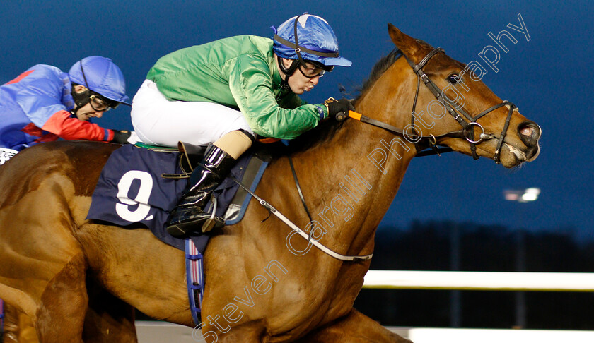 Taceec-0004 
 TACEEC (Conor McGovern) wins The Like Sun Racing On Facebook Apprentice Handicap 
Wolverhampton 7 Jan 2019 - Pic Steven Cargill / Racingfotos.com