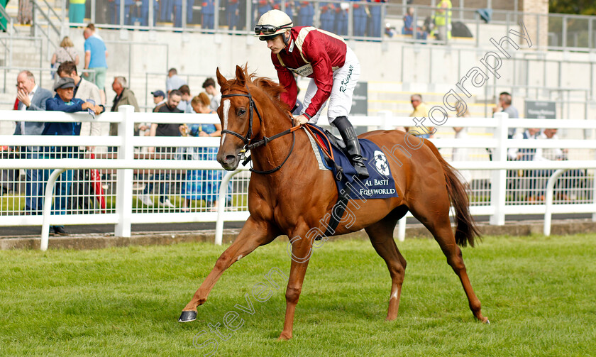 Get-Ahead-0001 
 GET AHEAD (Richard Kingscote)
The Curragh 10 Sep 2023 - Pic Steven Cargill / Racingfotos.com