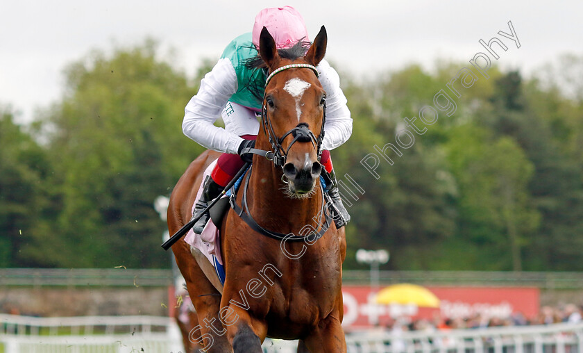 Arrest-0003 
 ARREST (Frankie Dettori) wins The Boodles Chester Vase
Chester 10 May 2023 - Pic Steven Cargill / Racingfotos.com