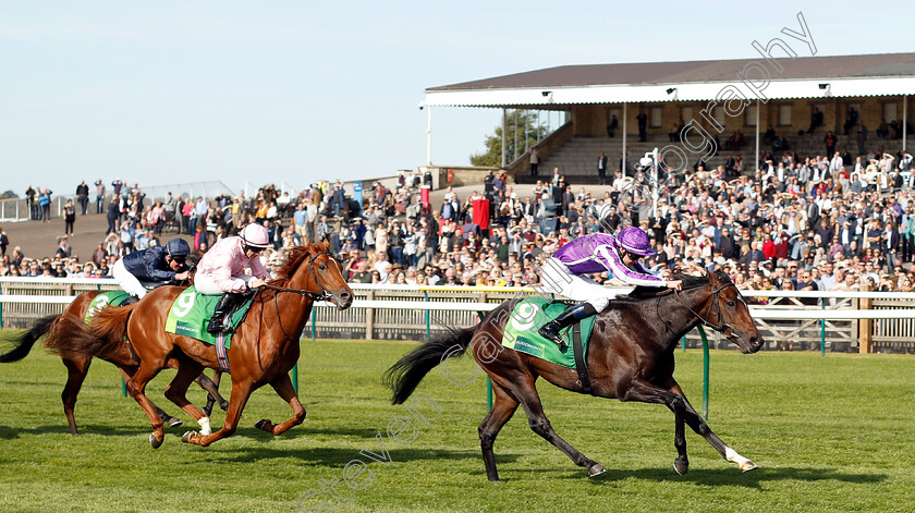 Mohawk-0003 
 MOHAWK (Donnacha O'Brien) beats SYDNEY OPERA HOUSE (left) in The Juddmonte Royal Lodge Stakes
Newmarket 29 Sep 2018 - Pic Steven Cargill / Racingfotos.com