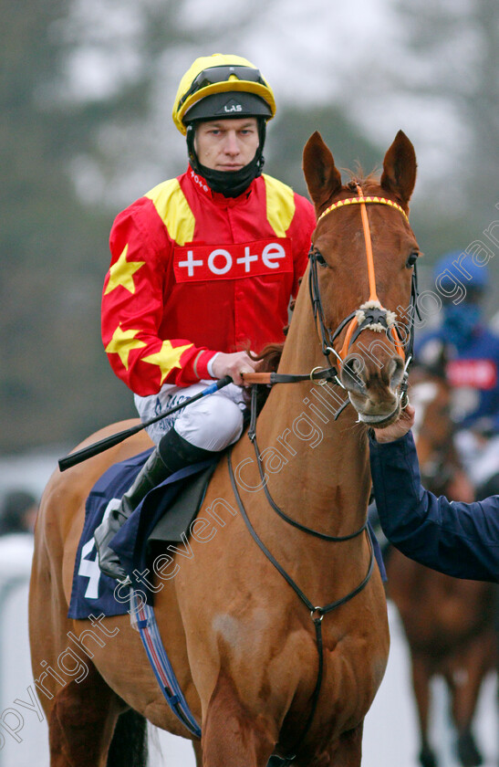 Noble-Mark-0002 
 NOBLE MARK (Luke Morris)
Lingfield 25 Jan 2022 - Pic Steven Cargill / Racingfotos.com