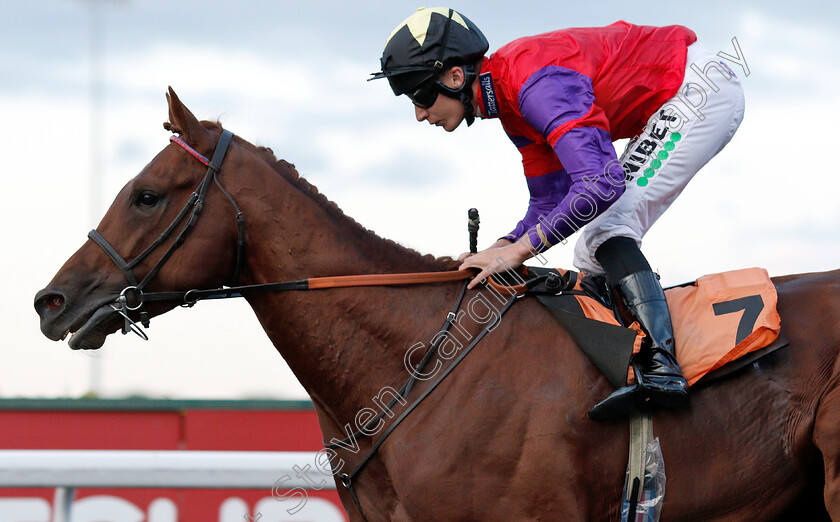 Land-Of-Oz-0006 
 LAND OF OZ (Luke Morris) wins The Matchbook Casino Handicap
Kempton 7 Aug 2019 - Pic Steven Cargill / Racingfotos.com