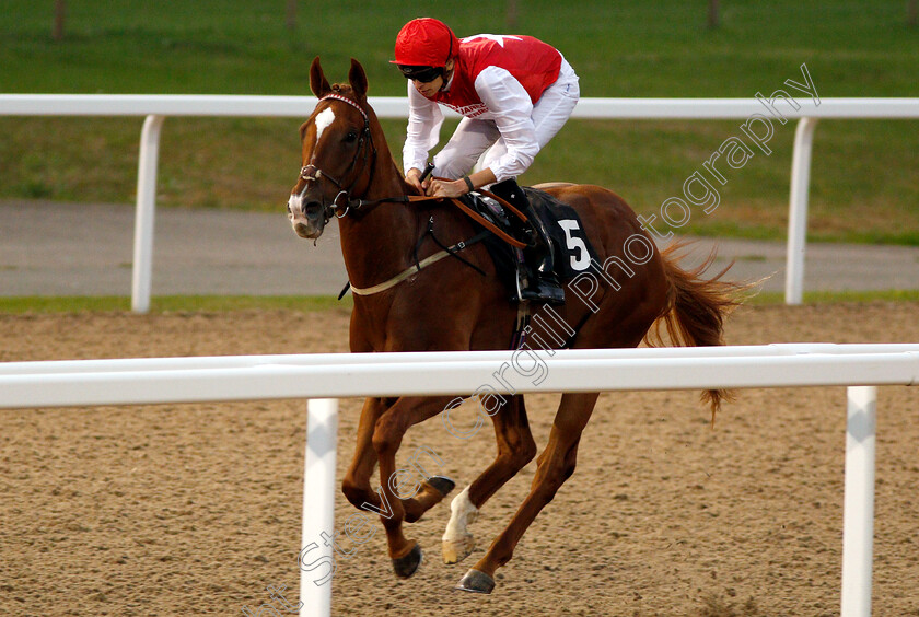 Roof-Garden-0003 
 ROOF GARDEN (Louis Steward) wins The Bet totequadpot At totesport.com Handicap
Chelmsford 6 Sep 2018 - Pic Steven Cargill / Racingfotos.com