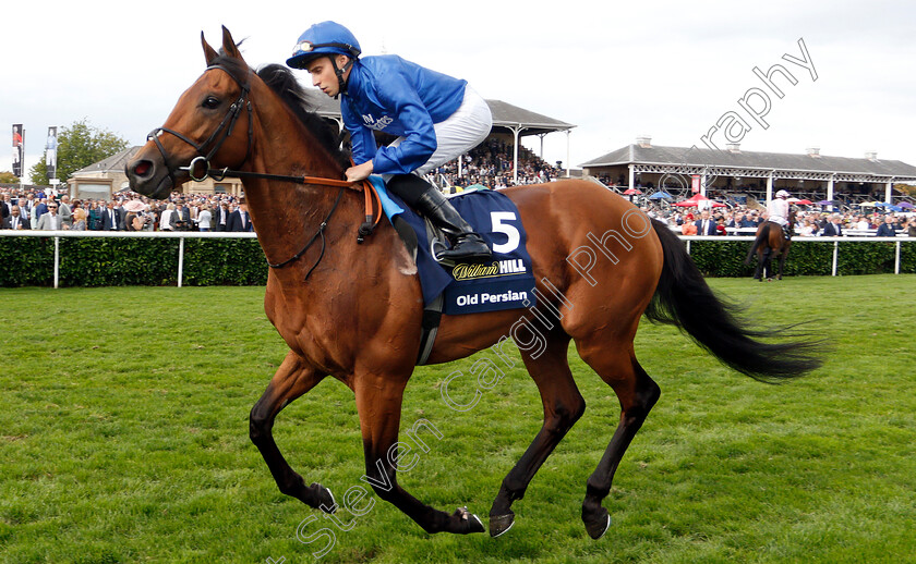 Old-Persian-0002 
 OLD PERSIAN (William Buick)
Doncaster 15 Sep 2018 - Pic Steven Cargill / Racingfotos.com