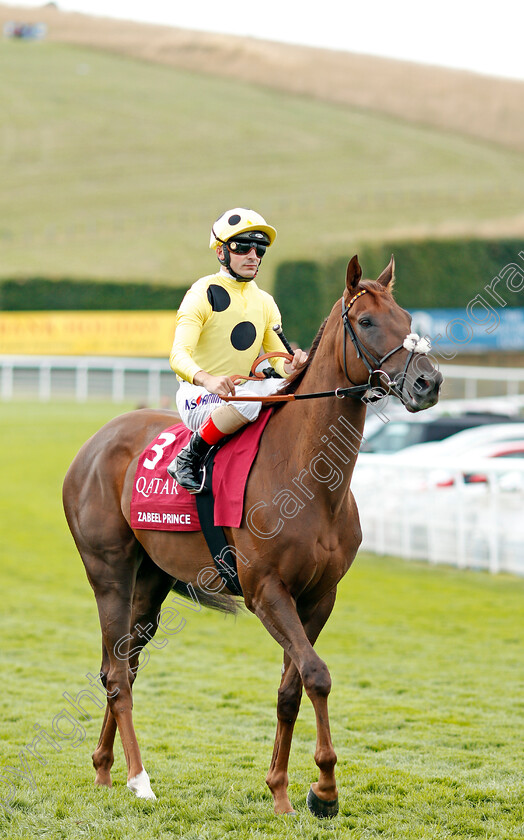 Zabeel-Prince-0001 
 ZABEEL PRINCE (Andrea Atzeni)
Goodwood 31 Jul 2019 - Pic Steven Cargill / Racingfotos.com