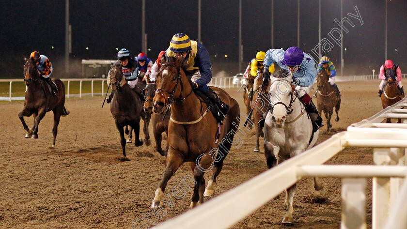 My-Footsteps-0003 
 MY FOOTSTEPS (centre, David Probert) beats DORS TOYBOY (right) in The CCR Classified Stakes Div1
Chelmsford 14 Jan 2021 - Pic Steven Cargill / Racingfotos.com