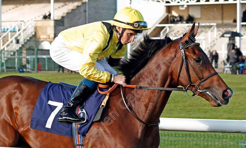 Yajooll-0001 
 YAJOOLL (William Buick) Doncaster 11 Nov 2017 - Pic Steven Cargill / Racingfotos.com