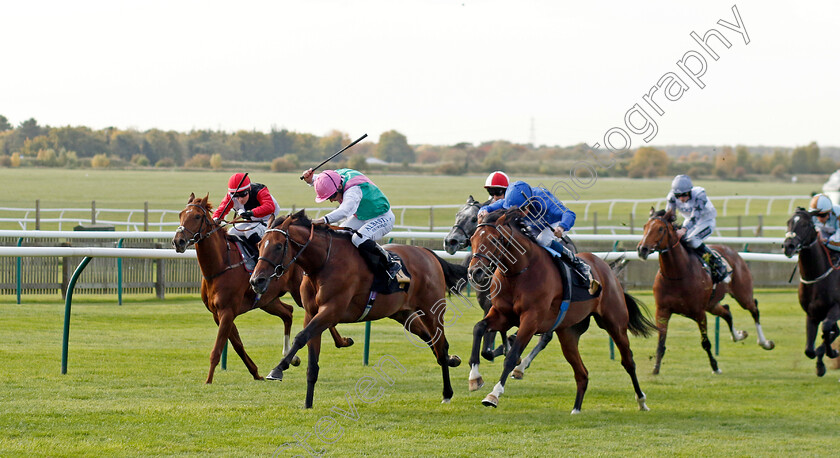 Regal-Honour-0007 
 REGAL HONOUR (right, William Buick) beats GREEK ORDER (left) in The Stephen Rowley Remembered Novice Stakes
Newmarket 19 Oct 2022 - Pic Steven Cargill / Racingfotos.com