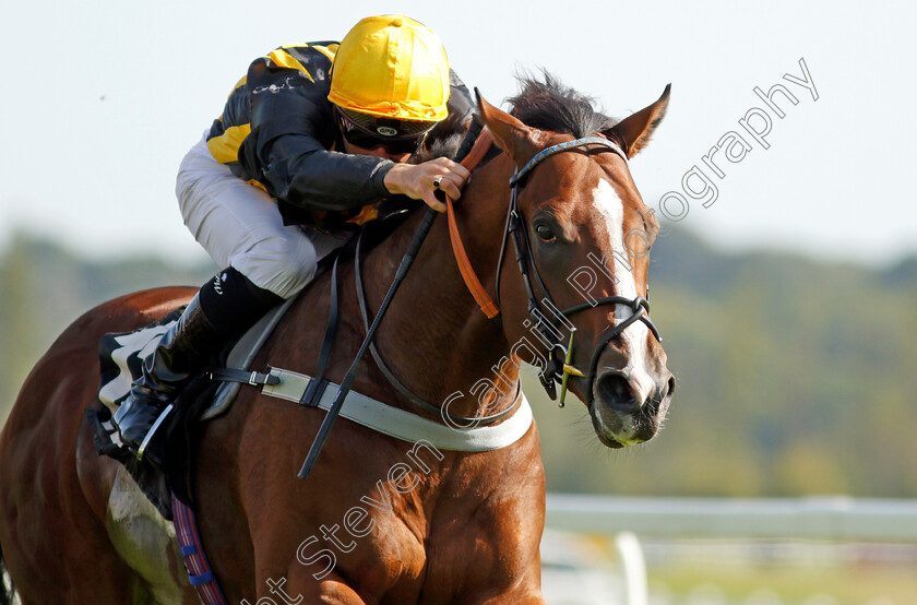 Whenthedealinsdone-0007 
 WHENTHEDEALINSDONE (Jason Watson) wins The British Stallion Studs EBF Maiden Stakes
Newbury 18 Sep 2020 - Pic Steven Cargill / Racingfotos.com