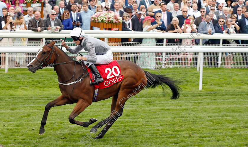 Red-Balloons-0003 
 RED BALLOONS (Barry McHugh) wins The Goffs UK Premier Yearling Stakes
York 23 Aug 2018 - Pic Steven Cargill / Racingfotos.com