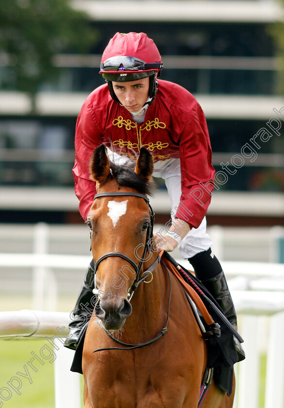 Electress-0001 
 ELECTRESS (Rossa Ryan)
Newbury 13 Aug 2021 - Pic Steven Cargill / Racingfotos.com