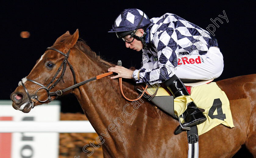 Roman-Spinner-0005 
 ROMAN SPINNER (Luke Morris) wins The Close Brothers Business Finance Nursery Kempton 22 Nov 2017 - Pic Steven Cargill / Racingfotos.com