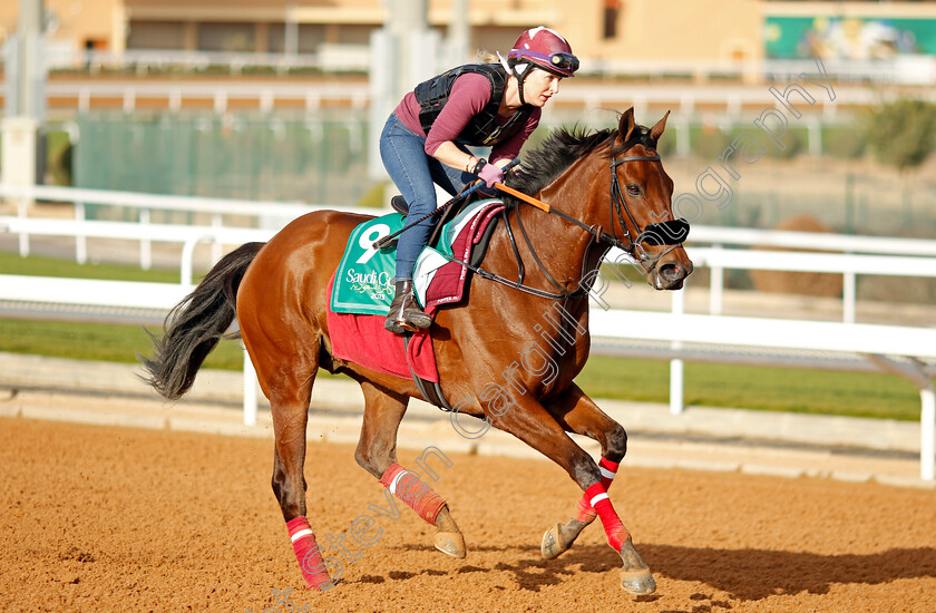 Remorse-0002 
 REMORSE training for The Saudi Cup
King Abdulaziz Racecourse, Kingdom of Saudi Arabia, 22 Feb 2023 - Pic Steven Cargill / Racingfotos.com