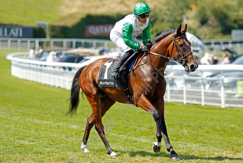 Al-Musmak-0001 
 AL MUSMAK (Silvestre De Sousa)
Goodwood 2 Aug 2024 - Pic Steven Cargill / Racingfotos.com