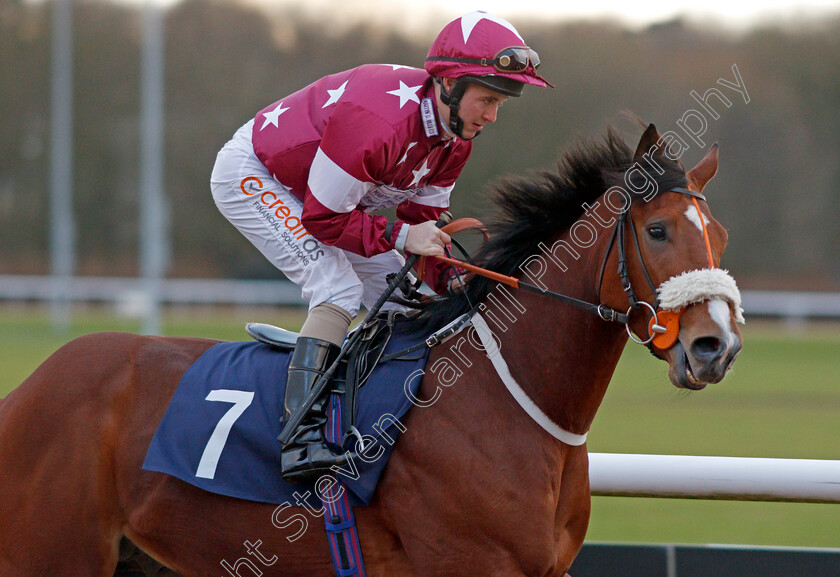 Harbour-Pilot-0001 
 HARBOUR PILOT (Shane Gray) Wolverhampton 4 Jan 2018 - Pic Steven Cargill / Racingfotos.com