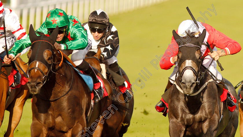 Count-Otto-0004 
 COUNT OTTO (left, Pat Dobbs) beats LITTLE BOY BLUE (right) in The Sir Michael Pickard Handicap
Epsom 4 Jul 2019 - Pic Steven Cargill / Racingfotos.com