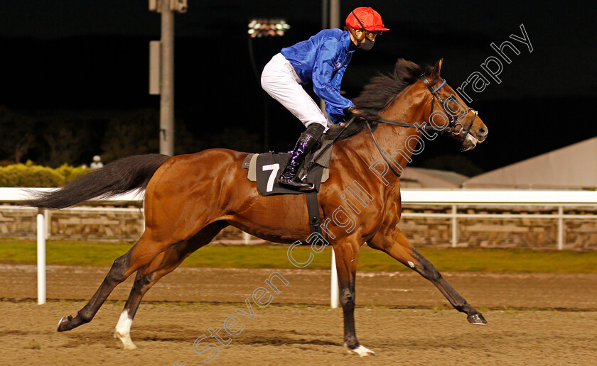 Hegemony-0001 
 HEGEMONY (James Doyle)
Chelmsford 15 Oct 2020 - Pic Steven Cargill / Racingfotos.com