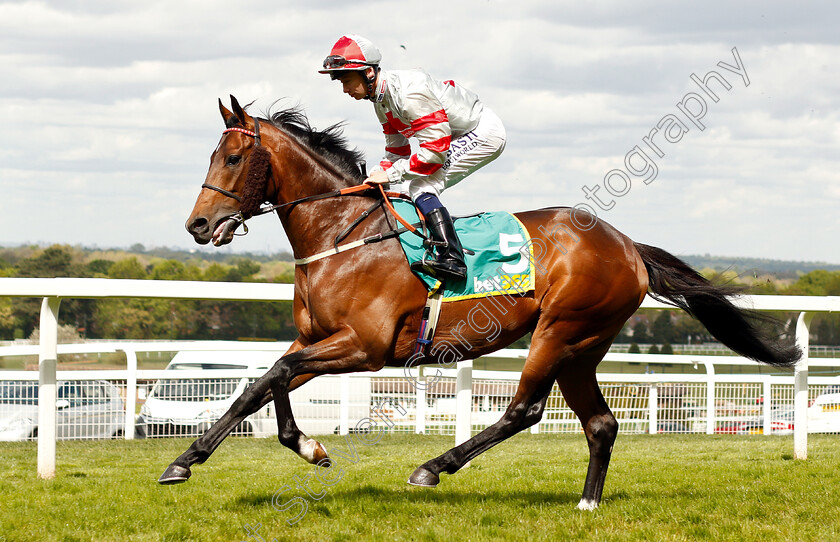 Knight-To-Behold-0001 
 KNIGHT TO BEHOLD (Oisin Murphy)
Sandown 26 Apr 2019 - Pic Steven Cargill / Racingfotos.com