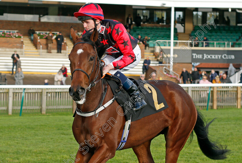 Anger-Management 
 ANGER MANAGEMENT (Darragh Keenan)
Newmarket 20 Oct 2021 - Pic Steven Cargill / Racingfotos.com