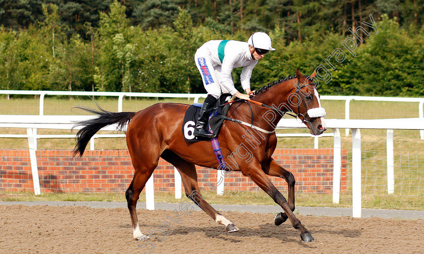 Colenso-0001 
 COLENSO (David Probert)
Chelmsford 13 Jun 2018 - Pic Steven Cargill / Racingfotos.com