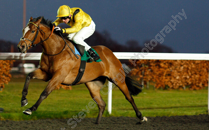 Monadee-0005 
 MONADEE (Jack Mitchell) wins The Bethany & Theodore Fitchie Novice Stakes Kempton 13 Dec 2017 - Pic Steven Cargill / Racingfotos.com