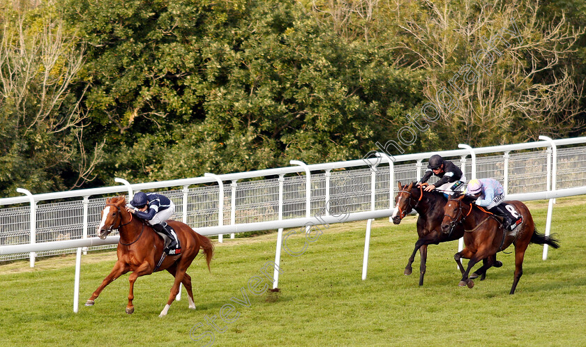 Autumn-War-0002 
 AUTUMN WAR (Callum Shepherd) beats DONO DI DIO (right) in The netbet.co.uk Novice Stakes
Goodwood 4 Sep 2018 - Pic Steven Cargill / Racingfotos.com