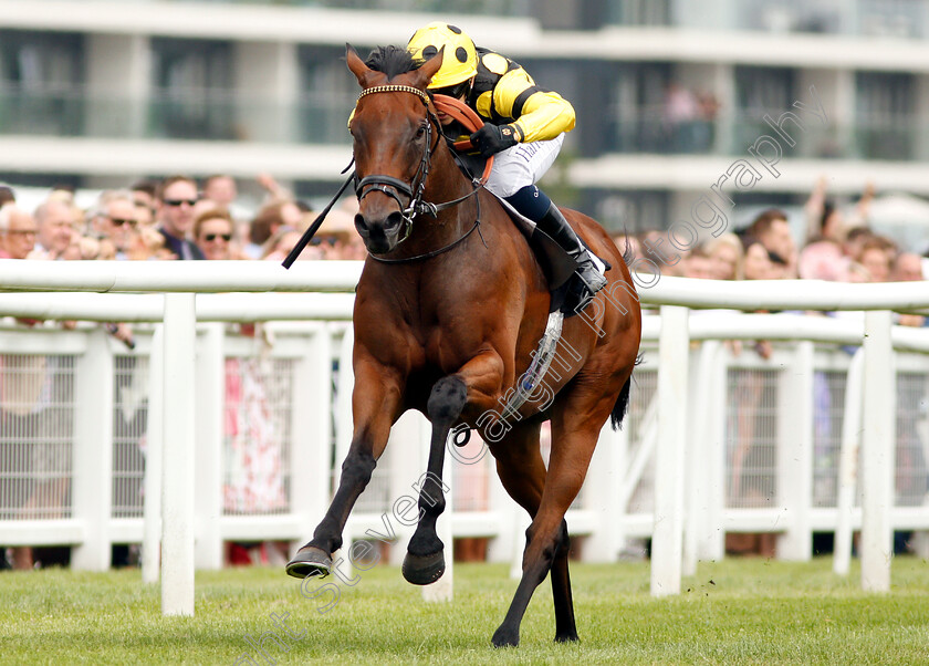 Squats-0004 
 SQUATS (Georgia Cox) wins The Laurent-Perrier Handicap
Newbury 18 Aug 2018 - Pic Steven Cargill / Racingfotos.com