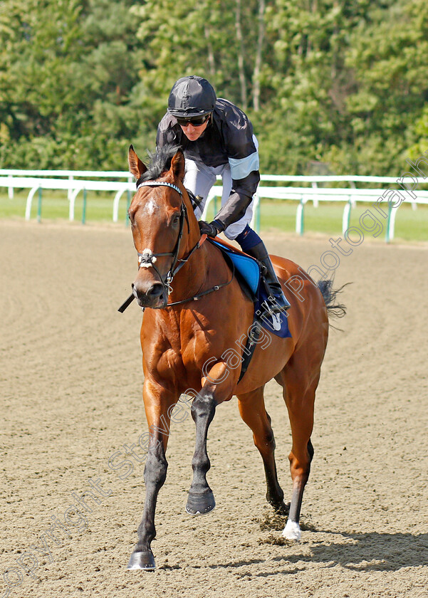 Zuba-0001 
 ZUBA (Jim Crowley)
Lingfield 24 Jul 2019 - Pic Steven Cargill / Racingfotos.com