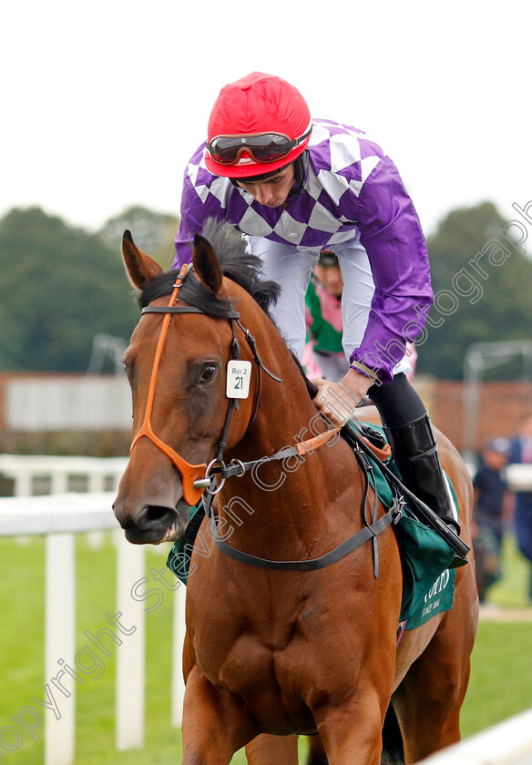 Gaiden-0001 
 GAIDEN (Rossa Ryan)
York 24 Aug 2023 - Pic Steven Cargill / Racingfotos.com