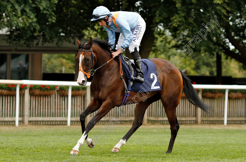 Embrace-The-Moment-0001 
 EMBRACE THE MOMENT (Ryan Moore)
Newmarket 20 Jul 2018 - Pic Steven Cargill / Racingfotos.com