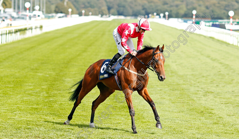 Theglasgowwarrior-0001 
 THEGLASGOWWARRIOR (Daniel Tudhope)
Doncaster 13 Sep 2019 - Pic Steven Cargill / Racingfotos.com