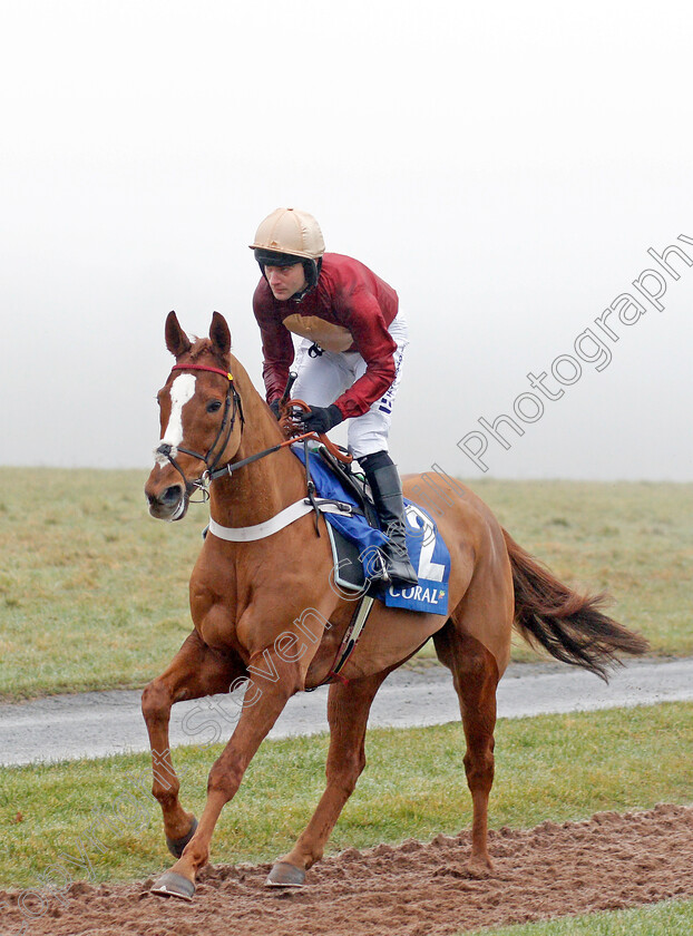 Whatswrongwithyou-0002 
 WHATSWRONGWITHYOU (Jeremiah McGrath)
Chepstow 27 Dec 2019 - Pic Steven Cargill / Racingfotos.com