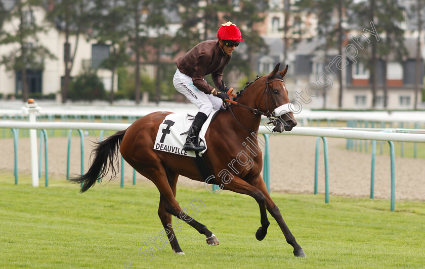 Sardaigne-0001 
 SARDAIGNE (Christophe Soumillon)
Deauville 3 Aug 2024 - Pic Steven Cargill / Racingfotos.com