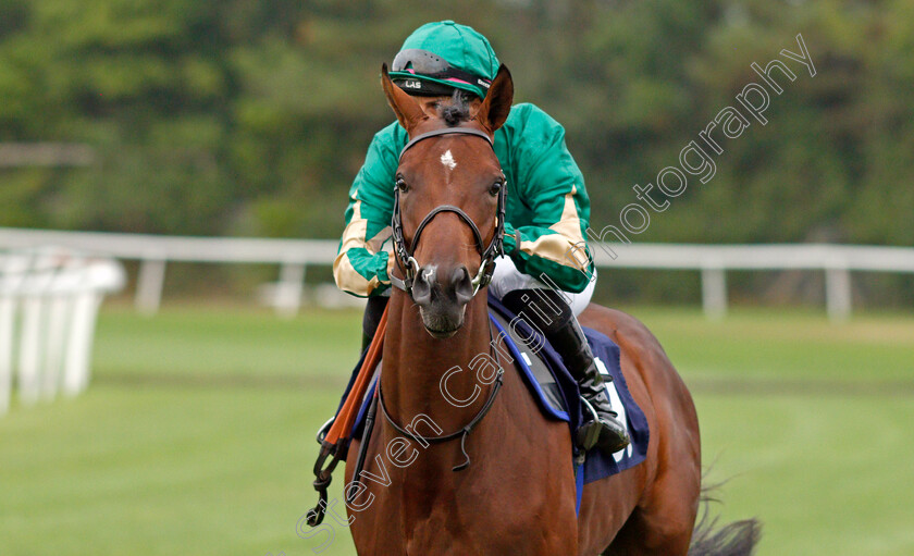 Stay-Coul-0001 
 STAY COUL (Josephine Gordon)
Lingfield 14 Aug 2020 - Pic Steven Cargill / Racingfotos.com