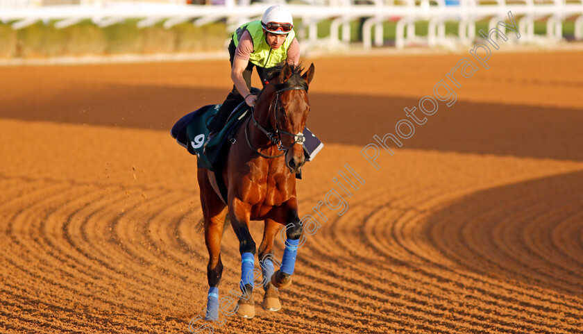 Mishriff-0001 
 MISHRIFF training for The Saudi Cup
King Abdulaziz Racetrack, Riyadh, Saudi Arabia 23 Feb 2022 - Pic Steven Cargill / Racingfotos.com