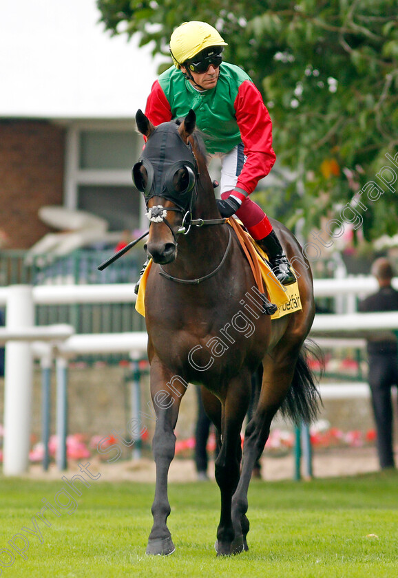 Nando-Parrado-0001 
 NANDO PARRADO (Frankie Dettori)
Haydock 4 Sep 2021 - Pic Steven Cargill / Racingfotos.com