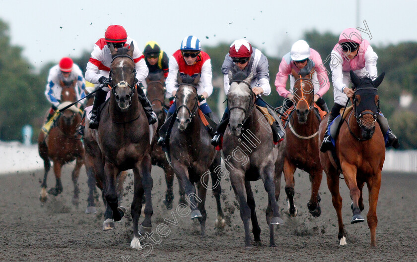 Molivaliente-0004 
 MOLIVALIENTE (left, Kieren Fox) beats NEFARIOUS (centre) and MAID FOR LIFE (right) in The 32Red.com Handicap
Kempton 10 Jul 2019 - Pic Steven Cargill / Racingfotos.com