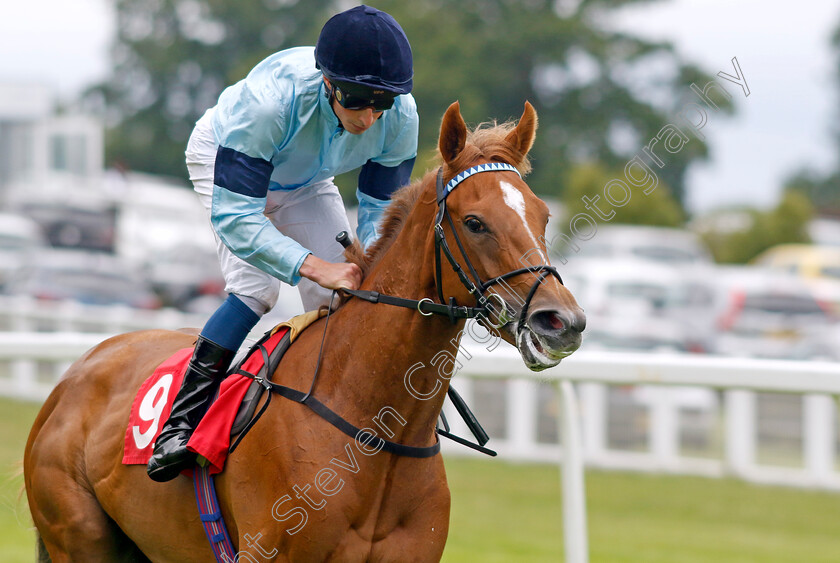 Soprano-0001 
 SOPRANO (William Buick)
Sandown 27 Jul 2023 - Pic Steven Cargill / Racingfotos.com