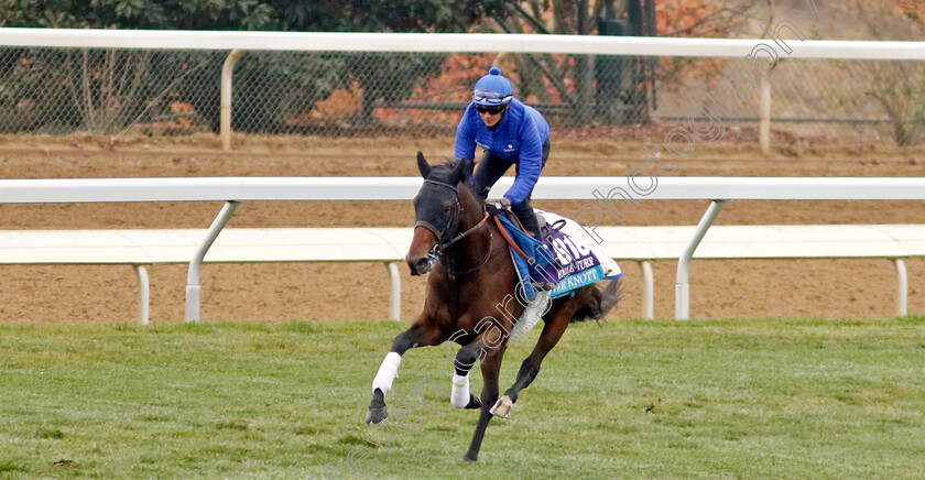 Silver-Knott-0001 
 SILVER KNOTT training for the Breeders' Cup Juvenile Turf 
Keeneland USA 2 Nov 2022 - Pic Steven Cargill / Racingfotos.com