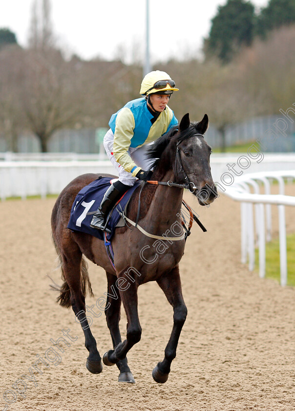 Tarbat-Ness-0002 
 TARBAT NESS (Faye McManoman)
Wolverhampton 12 Mar 2022 - Pic Steven Cargill / Racingfotos.com