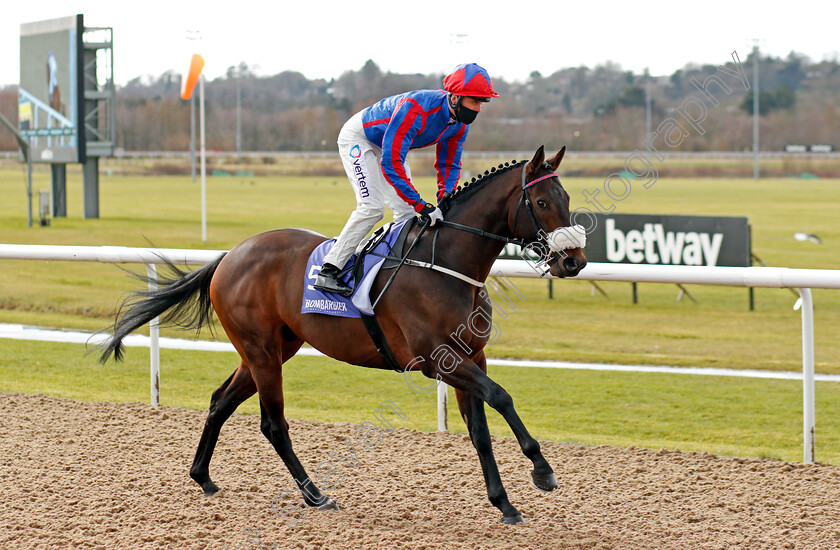 Lord-Of-The-Lodge-0002 
 LORD OF THE LODGE (Clifford Lee)
Wolverhampton 13 Mar 2021 - Pic Steven Cargill / Racingfotos.com