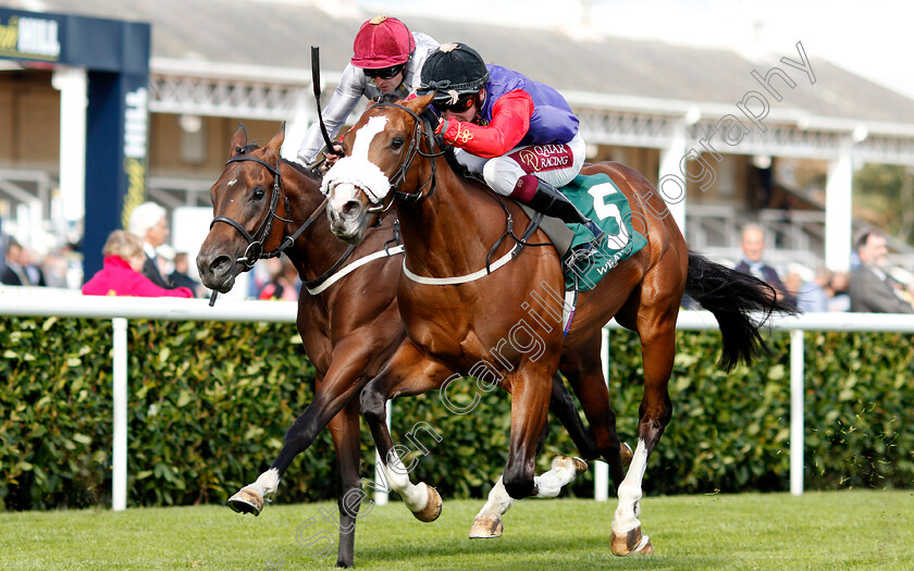 King s-Lynn-0004 
 KING'S LYNN (right, Oisin Murphy) beats TORO STRIKE (left) in The Weatherby's Racing Bank £300,000 2-y-o Stakes
Doncaster 12 Sep 2019 - Pic Steven Cargill / Racingfotos.com