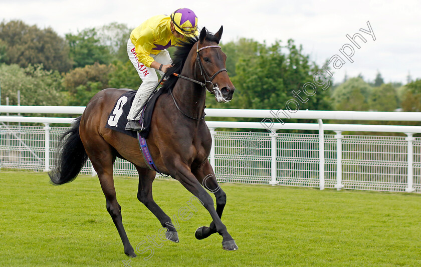 Sea-Silk-Road-0001 
 SEA SILK ROAD (Tom Marquand) winner of The William Hill Height Of Fashion Stakes
Goodwood 20 May 2022 - Pic Steven Cargill / Racingfotos.com