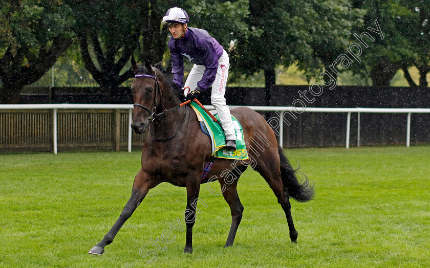 Persian-Dreamer-0006 
 PERSIAN DREAMER (Kevin Stott) winner of The Duchess of Cambridge Stakes
Newmarket 14 Jul 2023 - Pic Steven Cargill / Racingfotos.com