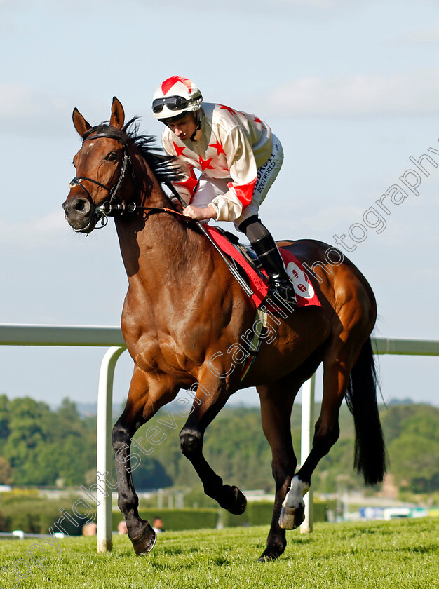 Silastar-0009 
 SILASTAR (Ryan Moore) winner of The Be Lucky With The Racehorse Lotto Handicap
Sandown 25 May 2023 - Pic Steven Cargill / Racingfotos.com