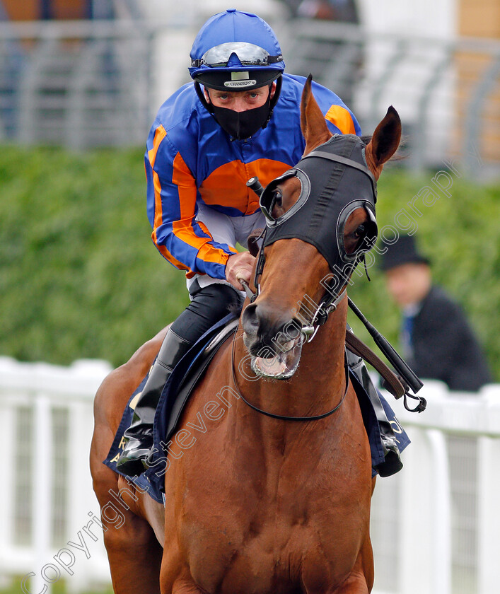 Matchless-0002 
 MATCHLESS (Seamie Heffernan)
Ascot 17 Jun 2021 - Pic Steven Cargill / Racingfotos.com