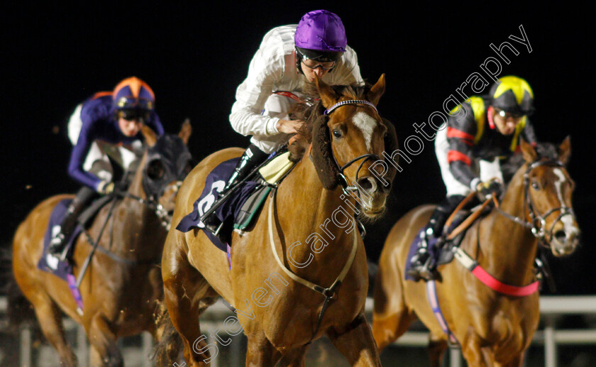 Stone-Soldier-0005 
 STONE SOLDIER (Luke Morris) wins The Mansionbet Proud Partners of The AWC Conditions Stakes
Southwell 3 Mar 2022 - Pic Steven Cargill / Racingfotos.com